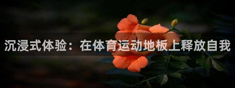 bsports官网 必一运动：沉浸式体验：在体育运动地板上释放自我