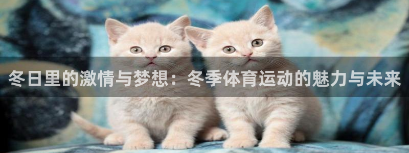 必一运动官网：冬日里的激情与梦想：冬季体育运动的魅力与未来