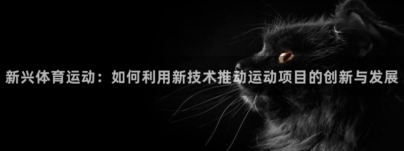 必一运动：新兴体育运动：如何利用新技术推动运动项目的创新与发展