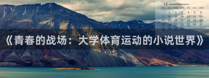 bsports官网 必一运动：《青春的战场：大学体育运动的小说世界》