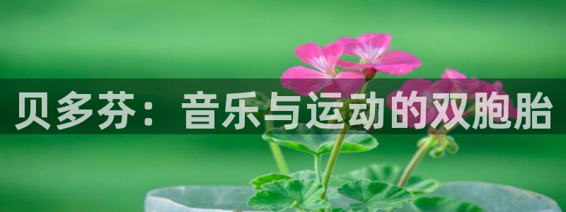 b体育必一运动官网：贝多芬：音乐与运动的双胞胎