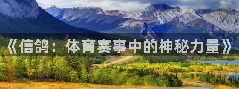 bsports必一运动：《信鸽：体育赛事中的神秘力量》