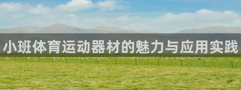 必一运动：小班体育运动器材的魅力与应用实践