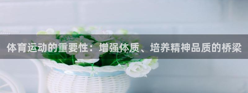 bsports官网 必一运动：体育运动的重要性：增强体质、培养精神品质的桥梁