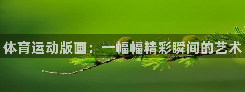 必一运动：体育运动版画：一幅幅精彩瞬间的艺术