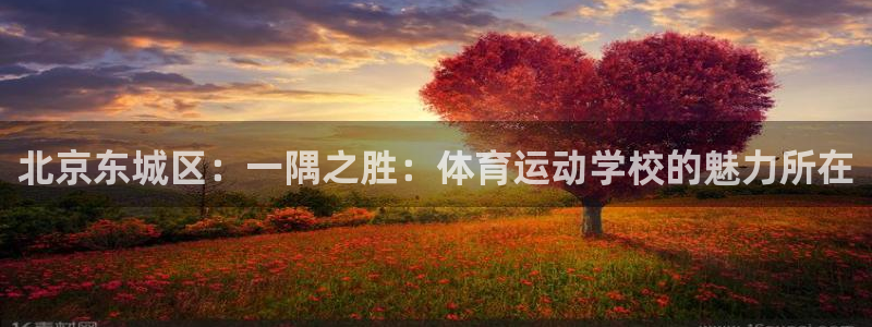 必一运动体育官网入口