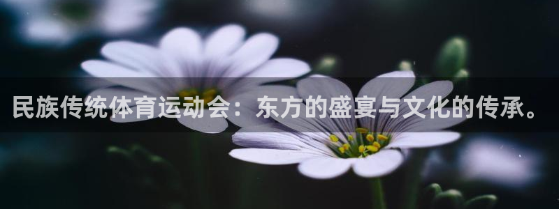 bsports必一运动：民族传统体育运动会：东方的盛宴与文化的传承。