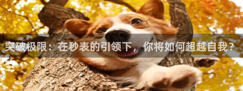 必一运动app